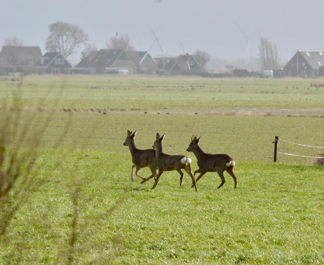 Villa Het Melkhuis Op Prachtig Landgoed Koepeltjesplaats Gaast Exterior foto